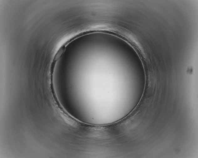 X0000089381328200706221245