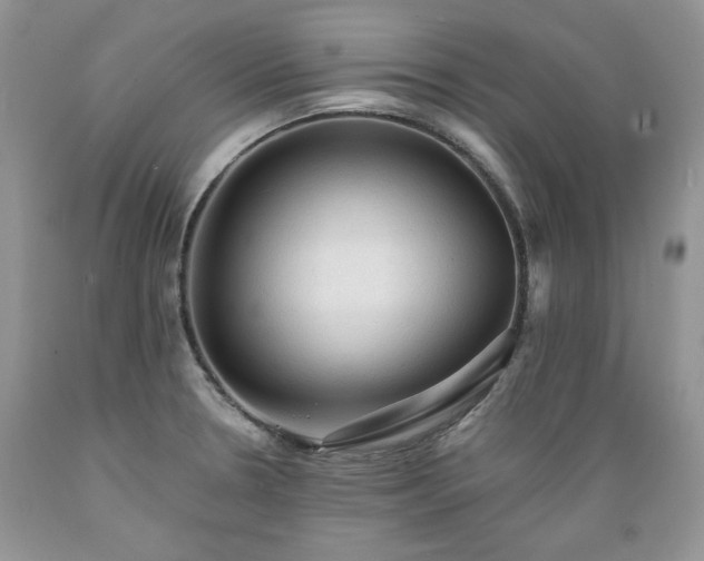 X0000089381330200706221245
