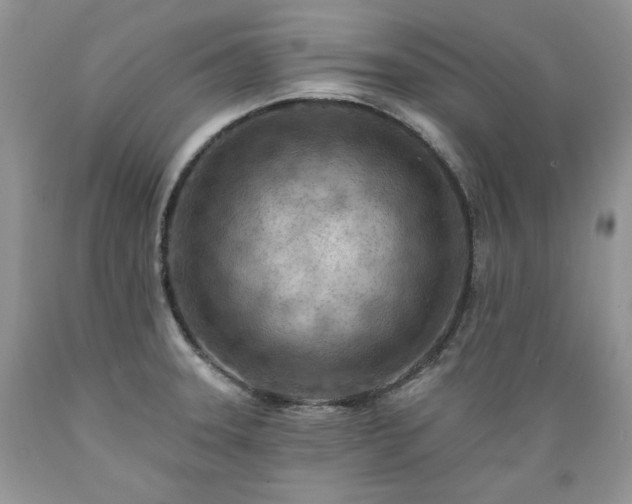 X0000089381331200706221245