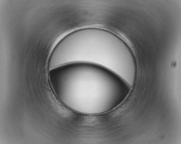 X0000089381332200706221245