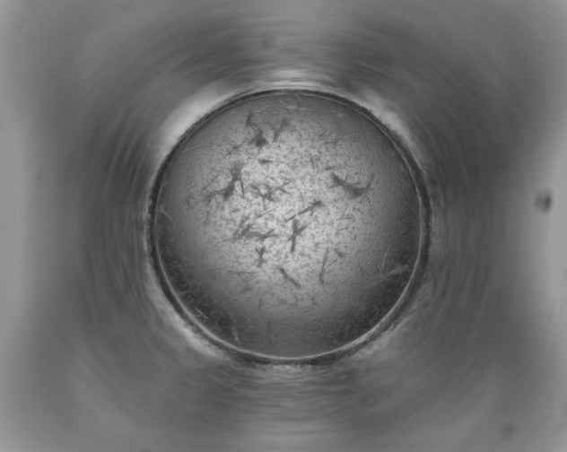 X0000089381333200706221245