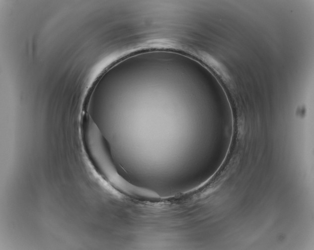 X0000089381334200706221245