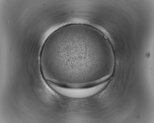 X0000089381335200706221245