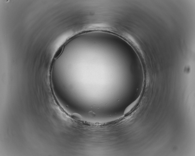 X0000089381336200706221245