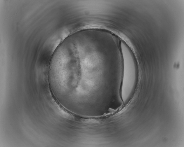 X0000089381337200706221245