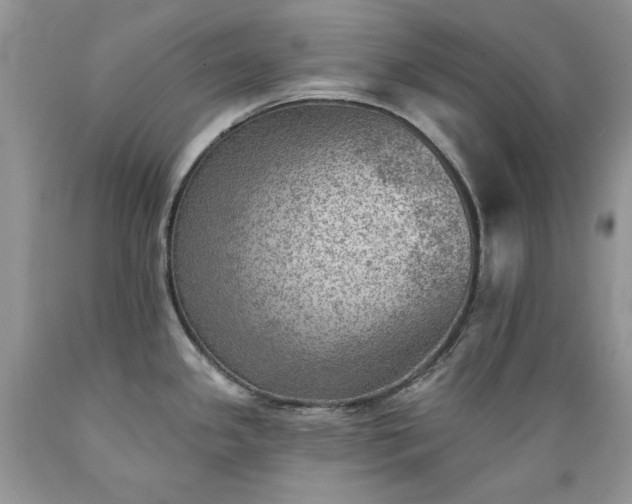 X0000089381341200706221245