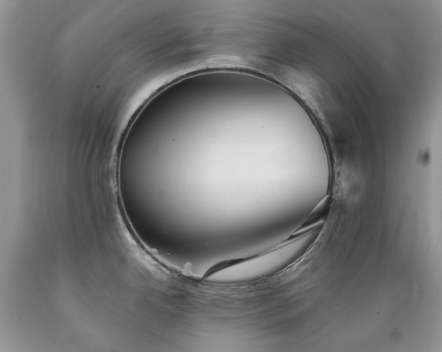 X0000089381342200706221245