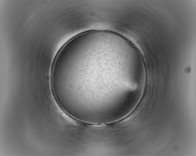 X0000089381343200706221245