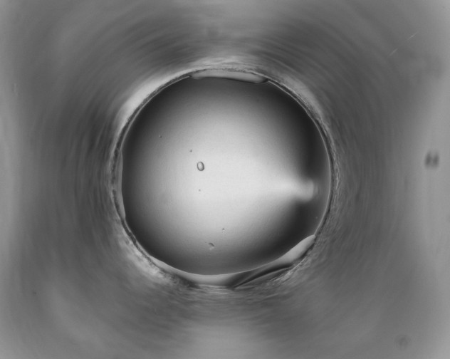 X0000089381344200706221245