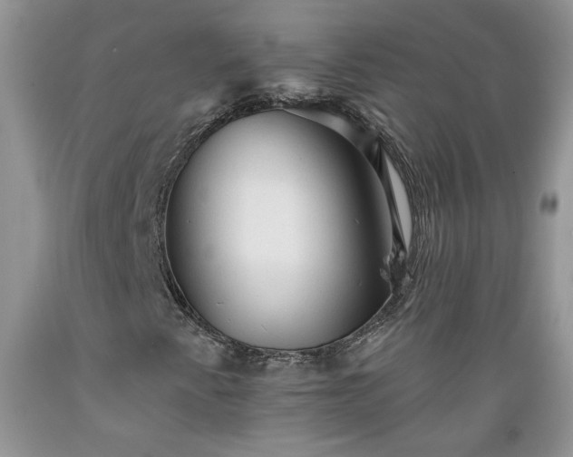X0000089381345200706221244