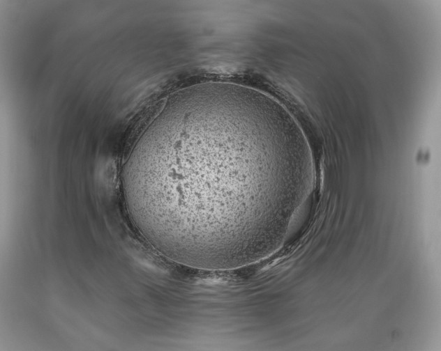 X0000089381347200706221244