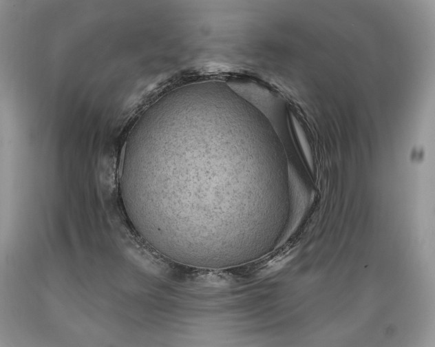 X0000089381348200706221244