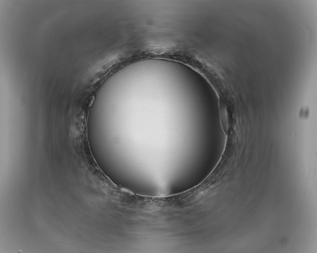 X0000089381349200706221244