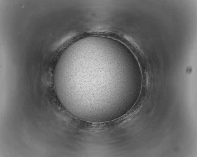 X0000089381350200706221244