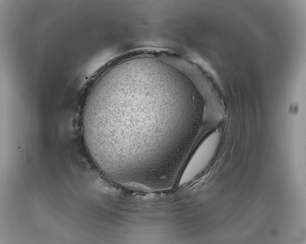 X0000089381352200706221244
