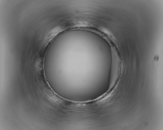 X0000089381353200706221244