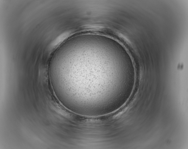 X0000089381354200706221244