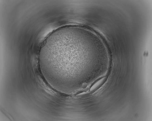 X0000089381355200706221244