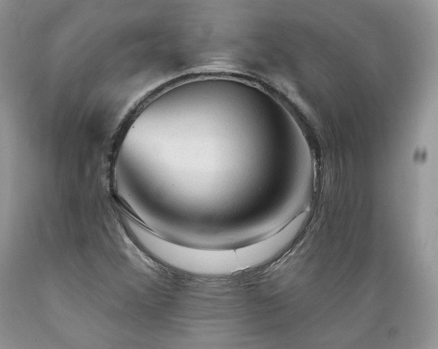 X0000089381356200706221244