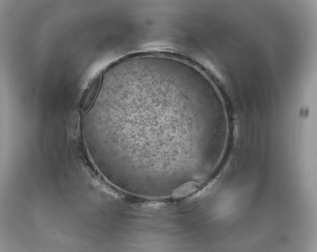 X0000089381358200706221244