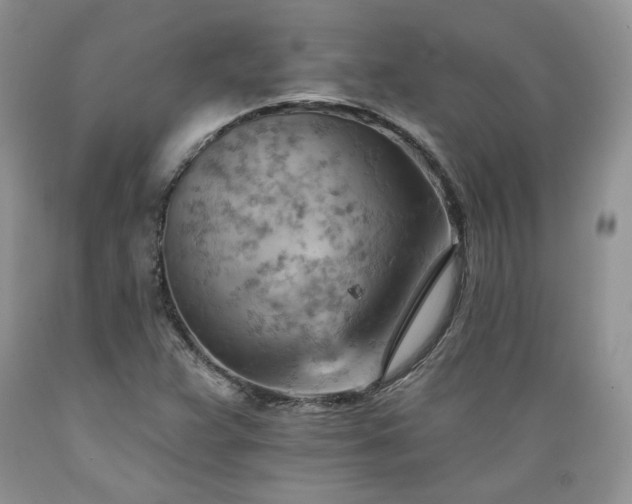 X0000089381359200706221244
