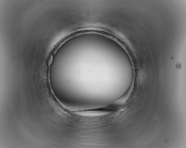 X0000089381360200706221244