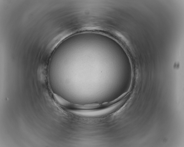 X0000089381361200706221244