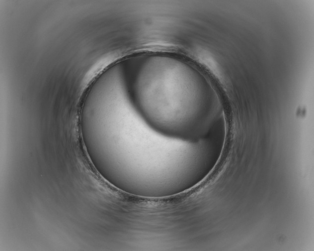 X0000089381362200706221244