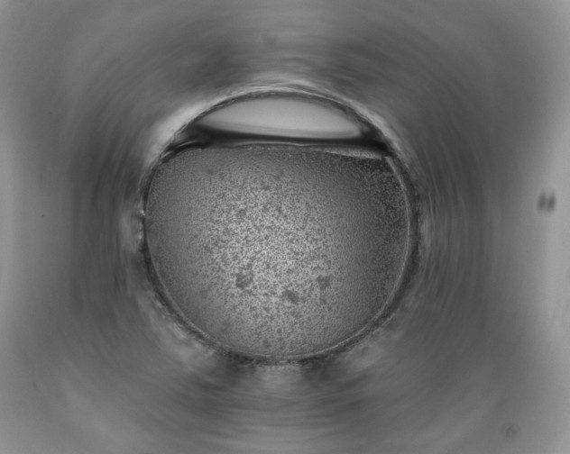 X0000089381363200706221244