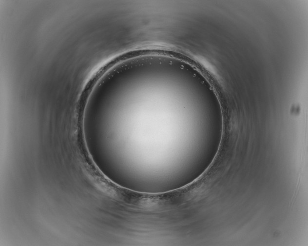 X0000089381364200706221244