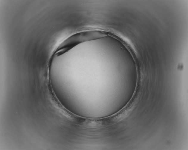 X0000089381365200706221244