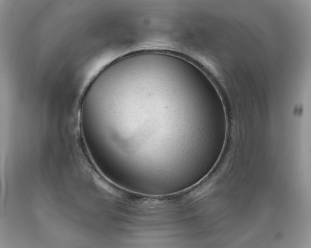 X0000089381366200706221244