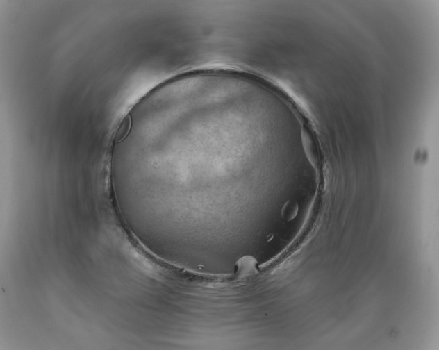 X0000089381367200706221244