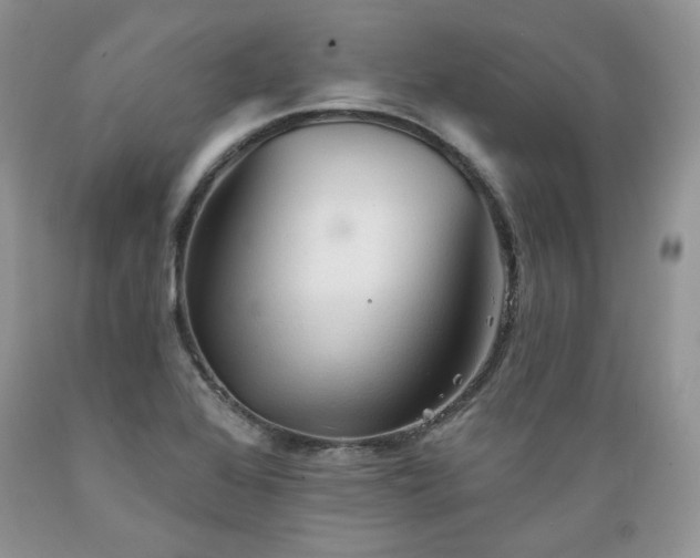 X0000089381368200706221244