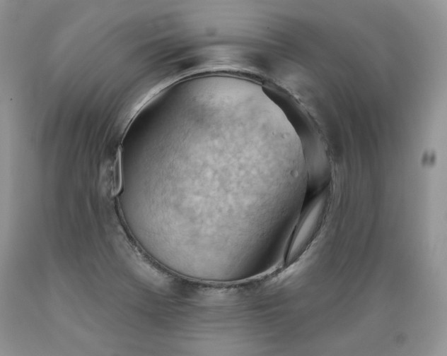 X0000089381369200706221244
