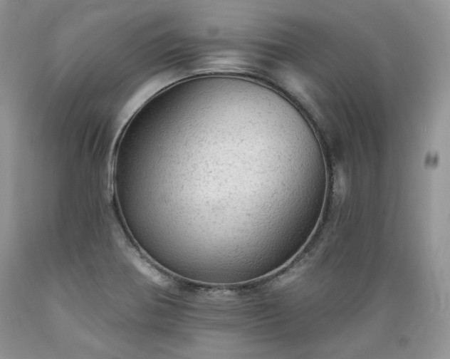 X0000089381370200706221244