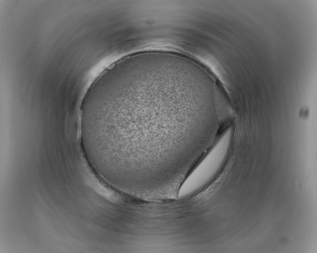 X0000089381371200706221244