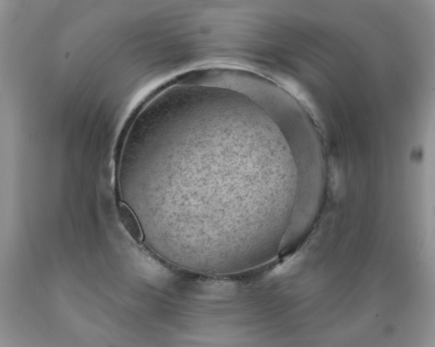 X0000089381372200706221244