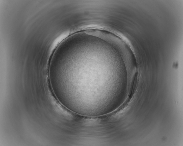 X0000089381373200706221244