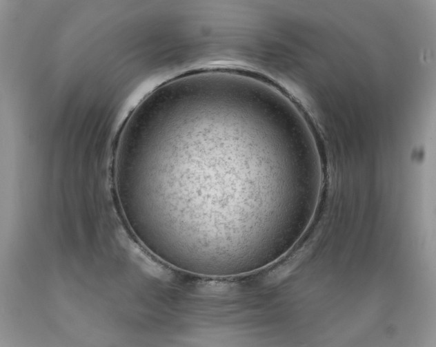 X0000089381374200706221244