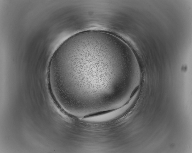 X0000089381375200706221244