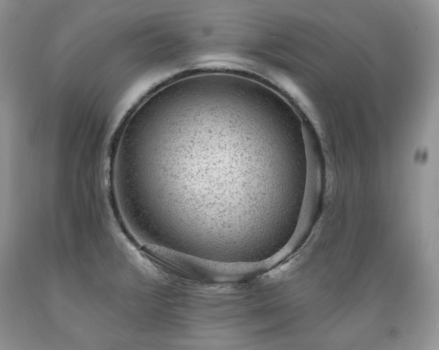 X0000089381376200706221244