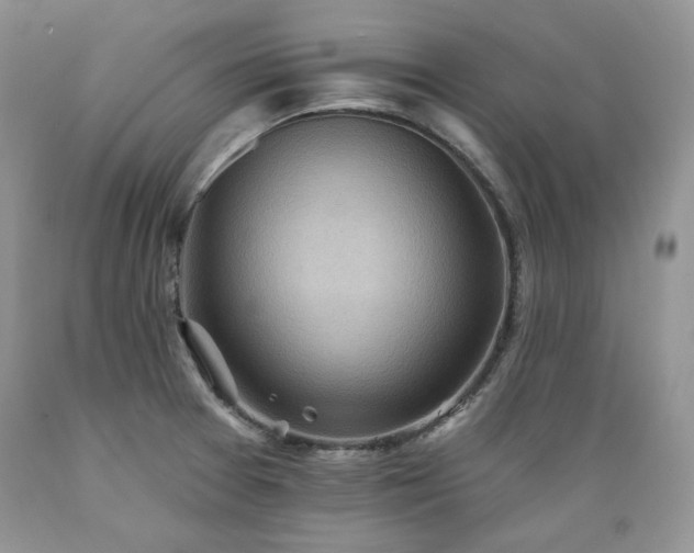 X0000089381377200706221244