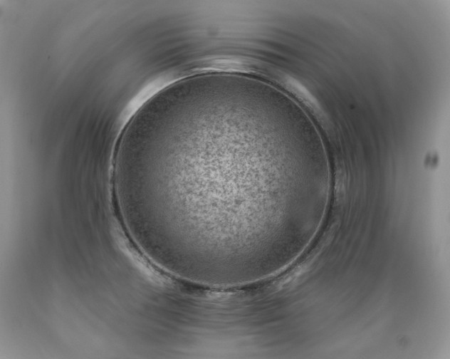 X0000089381378200706221244