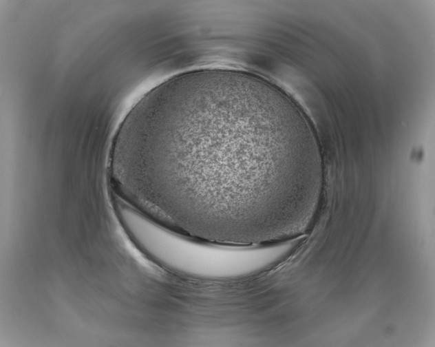 X0000089381379200706221244