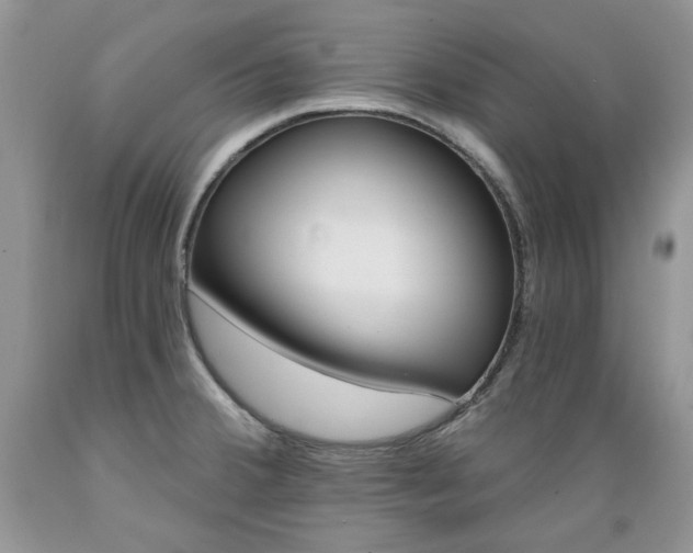 X0000089381380200706221244