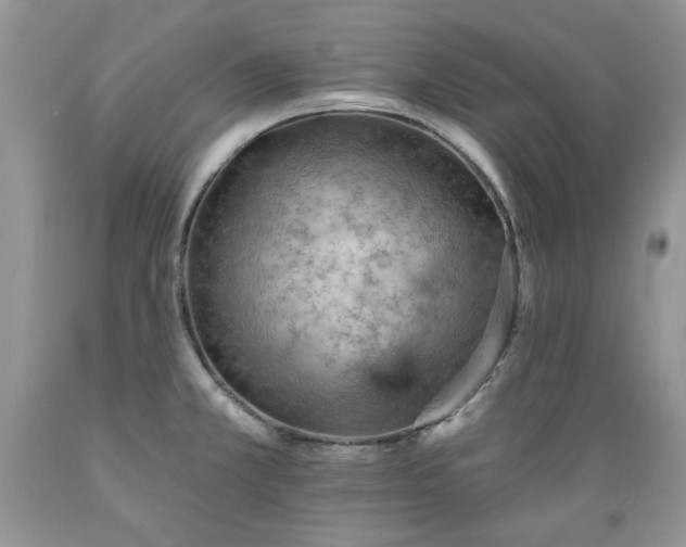 X0000089381381200706221244