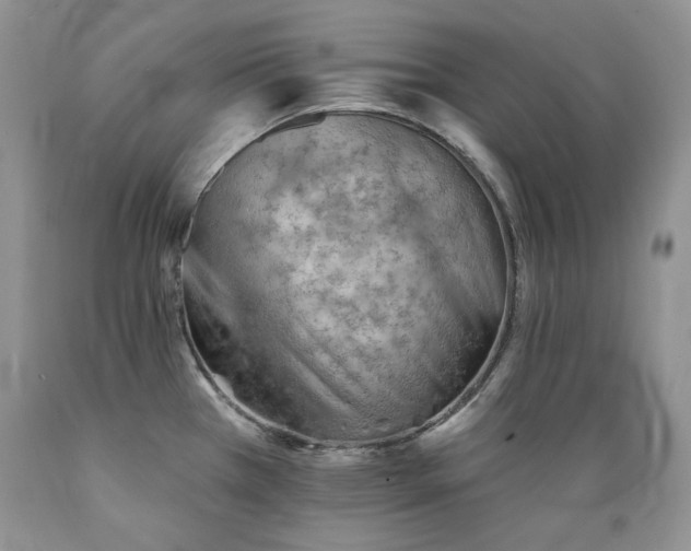 X0000089381385200706221244