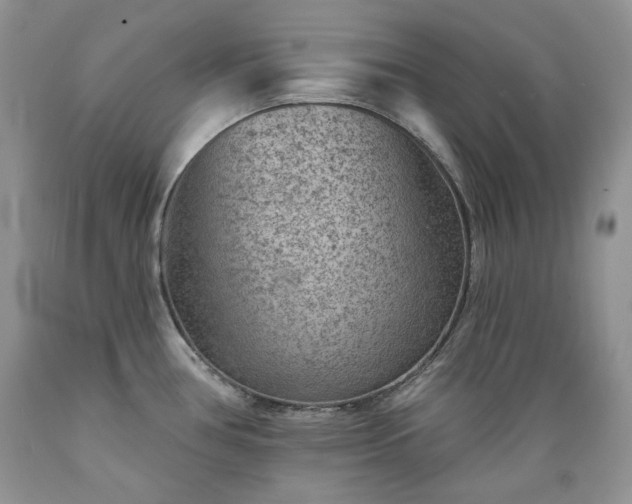 X0000089381386200706221244