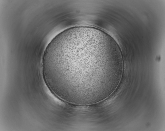 X0000089381387200706221244